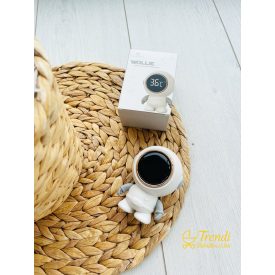 Hőmérő - Elektromos - Vízálló