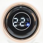 Hőmérő - Elektromos - Vízálló