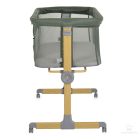 Aura babaöböl - zöld